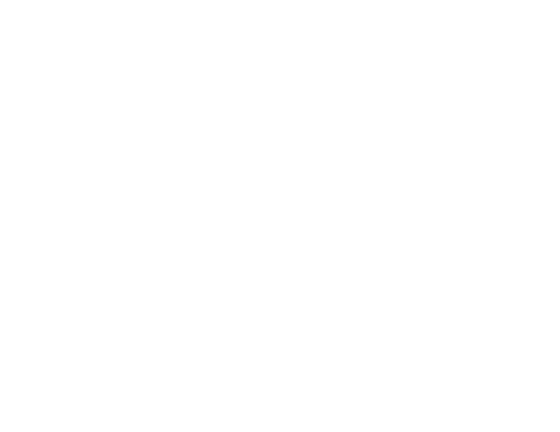 Logo-Naska